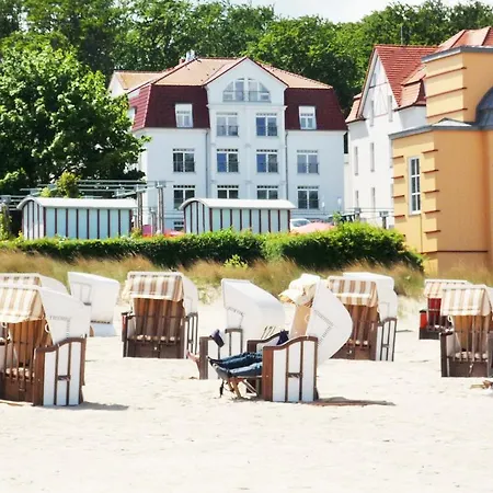 Lachmoewe Regina Maris Lachmoewe